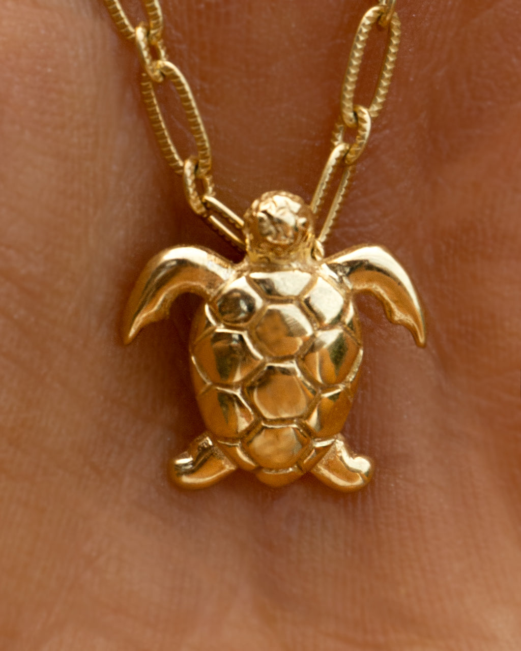 Honu Island
