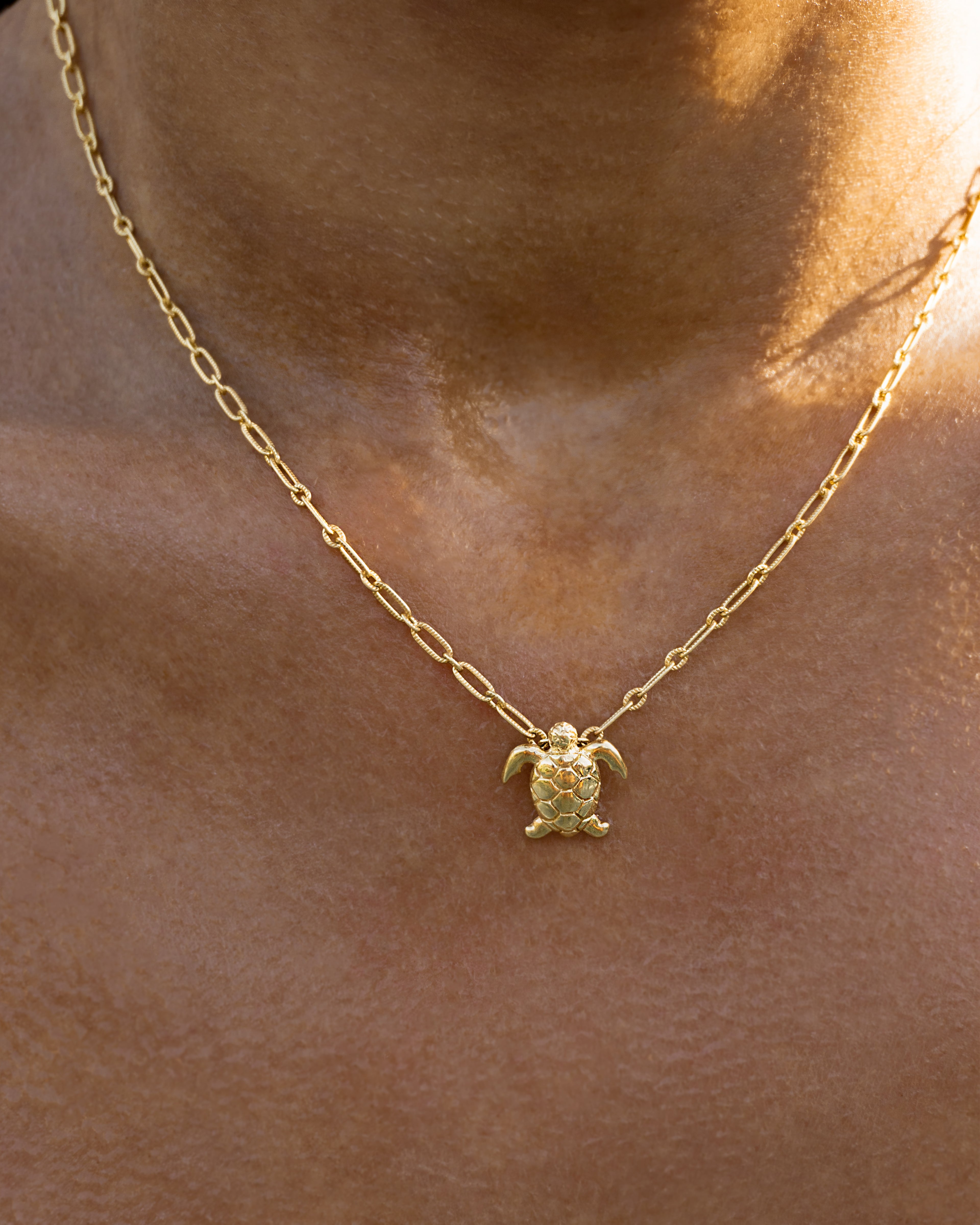 Honu Island