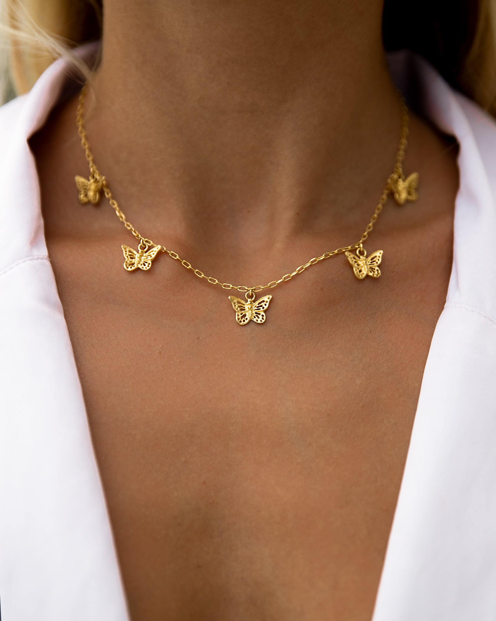Butterfly Energy