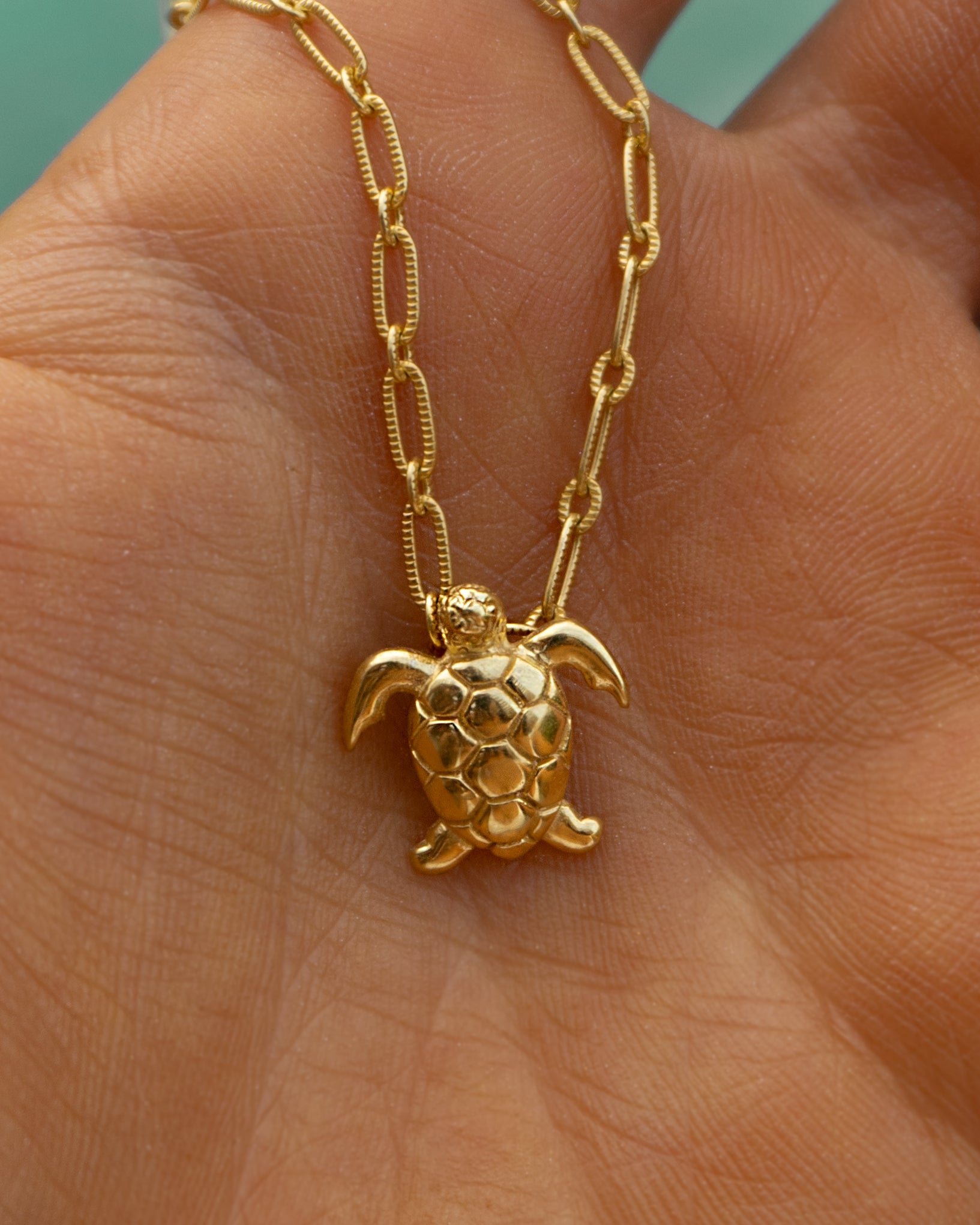 Honu Island